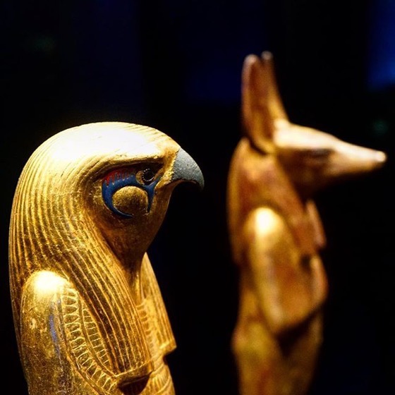 Horus and Anubis Statues — Follow Me On Instagram!