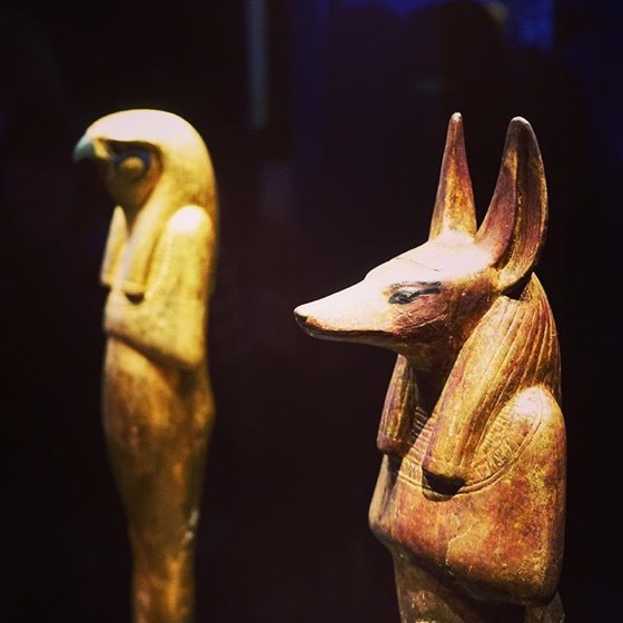 Anubis and Horus Statues via My Instagram