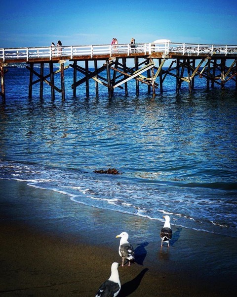 Paradise Cove Beach and Pier — Follow Me On Instagram