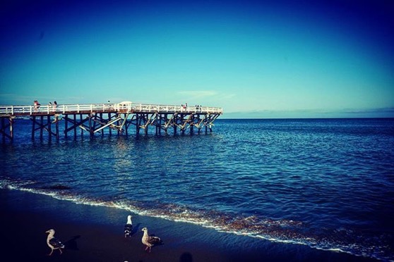 Paradise Cove Beach and Pier — Follow Me On Instagram!