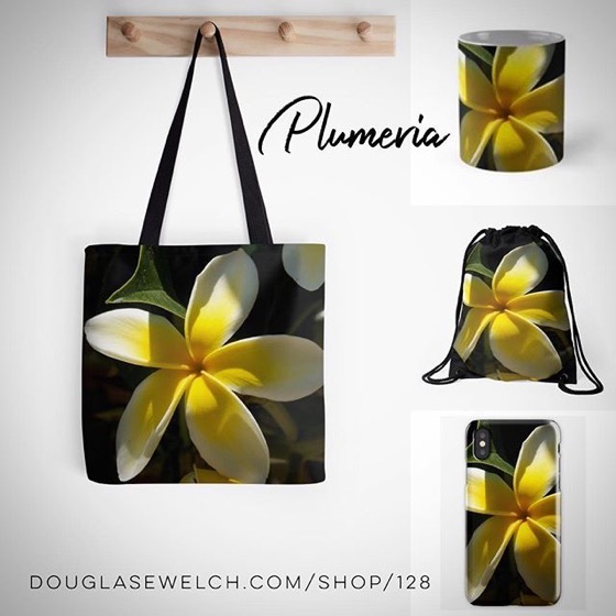 Plumeria Blossoms Shine in the Sun on Totes, Tees, Mugs, Bags and Much More!