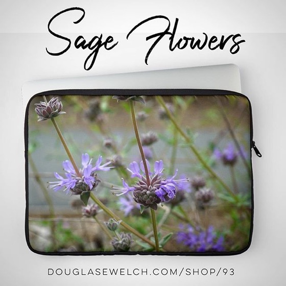 Sage Flowers from the San Fernando Valley of California Laptop Sleeves and much more!