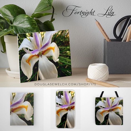 Bring these Fresh Fortnight Lilies Home With Art Boards, Totes, Journals, iPhone Cases and Much more!