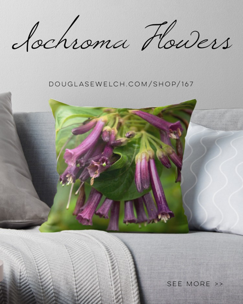 Experience A Day In The Garden with these Iochroma Flower Pillows, iPhone Cases, and Much More!