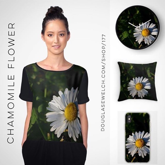 Sit Back and Relax With These Calming Chamomile Flower Tops, Pillows, iPhone Cases and Much more! [For Sale]