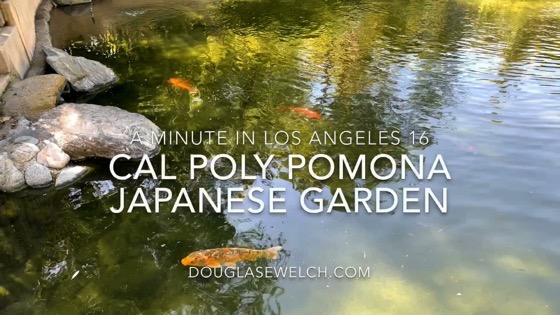 Scene from the Cal Poly Pomona Japanese Garden – A Minute in Los Angeles 17 [Video]