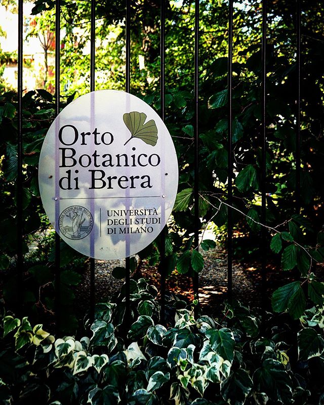 Orto Botanico di Brera, Milano, Italia via Instagram