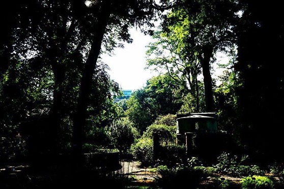 Another view of Orto Botanico di Brera, Milano, Italia via Instagram