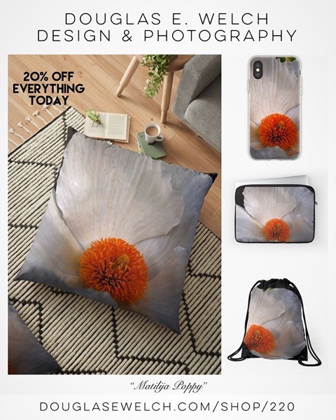 20% OFF Everything Today! — Get These Matilija Poppy Products and More From Douglas E. Welch Design and Photography [For Sale]