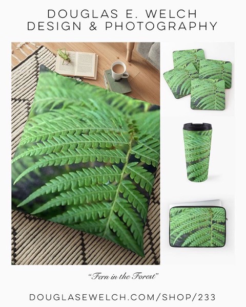 Fern In The Forest Shirts, Mugs, Pillows, and More From Douglas E. Welch Design and Photography [For Sale]