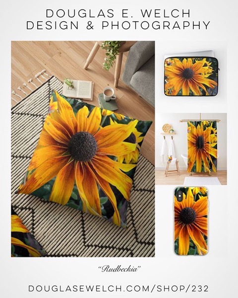 Brighten Your Days With These Rudbeckia Pillows and More From Douglas E. Welch Design and Photography [For Sale]