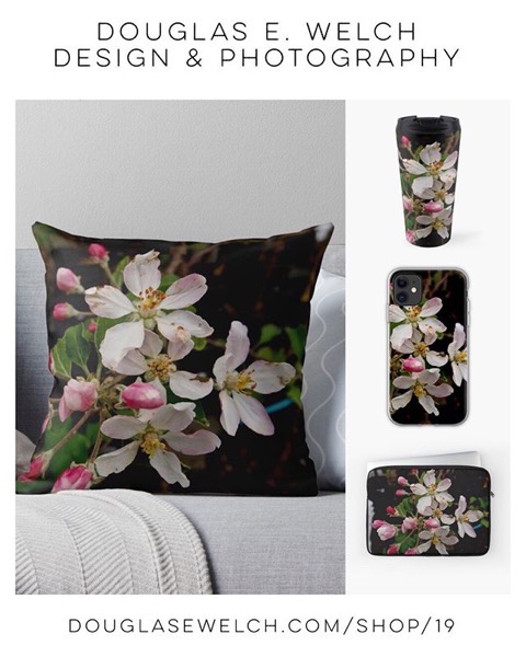 It’s Apple Blossom Time Year Round With These Products Exclusively From Douglas E. Welch Design and Photography [For Sale]