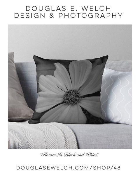 Brighten Your Home With These “Flower in Black and White” Pillows and More! [For Sale]