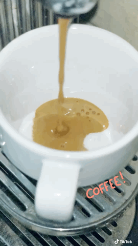 Coffee in my cup via TikTok [Video]