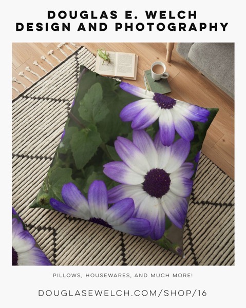 Dress Up With A Splash Of White On Purple With These  Pillows and More Exclusively From Douglas E. Welch Design and Photography [For Sale]
