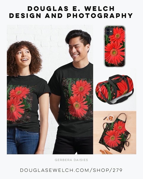 New Design: Gerbera Daisies Tees and More Exclusively From Douglas E. Welch Design and Photography [For Sale]
