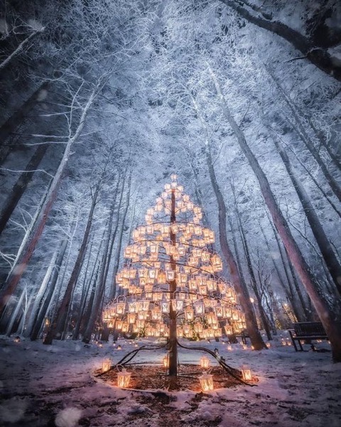 Christmas 2020 – End of the series –  Tree of Light