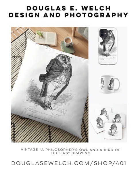 New Design: Vintage “A Philosopher’s Owl and a Bird of Letters” Drawing [For Sale]