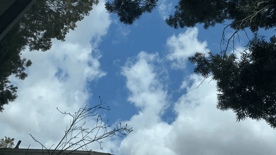 Clouds [Video]