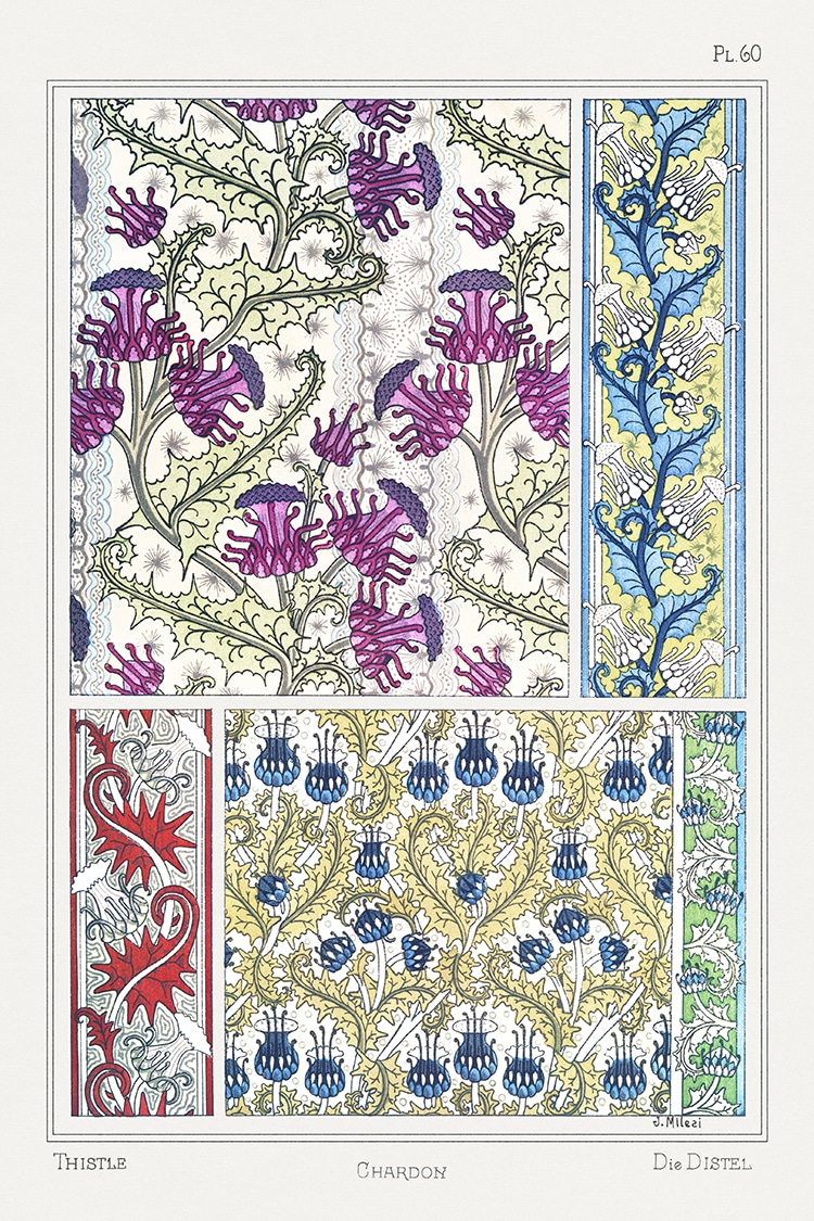 Exquisite Instructional Book From 1896 Illustrates How Flowers Become Art Nouveau Designs