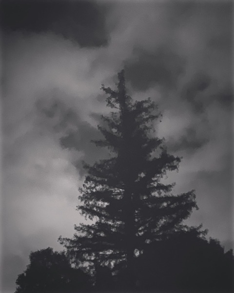 On A Cloudy Night Walk Home via Instagram