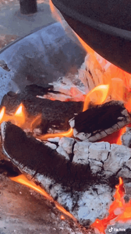 Around the fire via TikTok [Video]