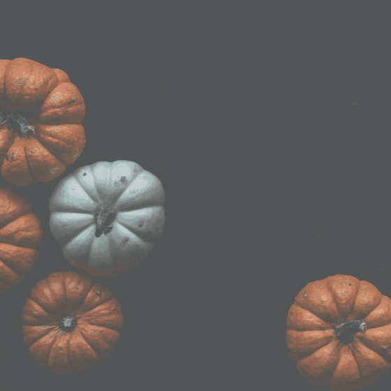 Thanksgiving 2021 – 8 in a series – Homemade Pumpkin Pie