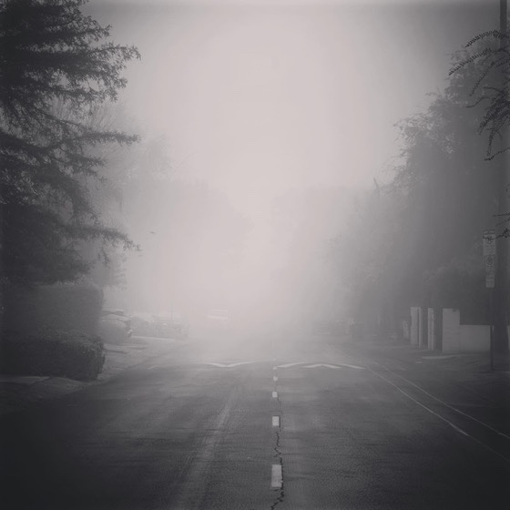 Foggy Morning 12 via Instagram