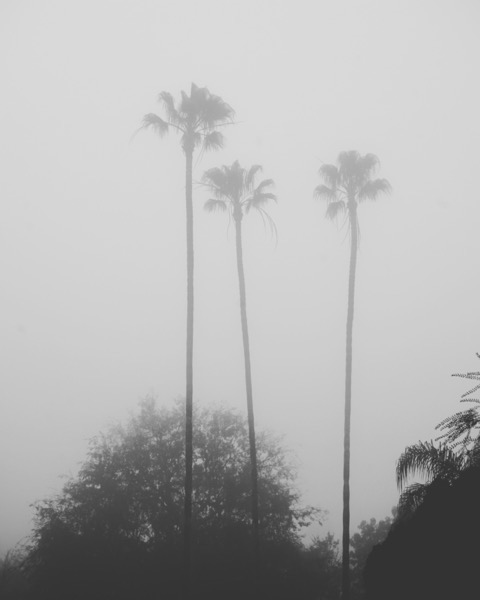 Foggy Morning 16 via Instagram