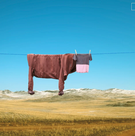 Conversation with Helga Stentzel, the artist who created the cow with hanging clothes via El Columbiano [Shared]