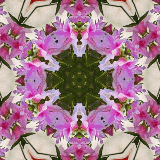 Hibiscus in Watercolor #garden #gardenersnotebook #hibiscus #flowers #plants #nature #watercolor #waterlogue via Instagram [Photo]
