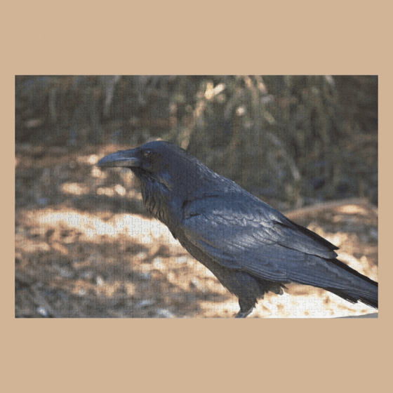 The Raven Jigsaw Puzzle and More by Douglas E. Welch Design and Photography