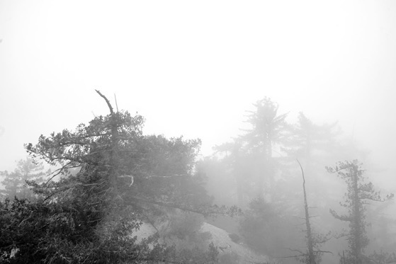 My Los Angeles 94: Dusk Silhouette in the San Gabriel Mountains via Instagram