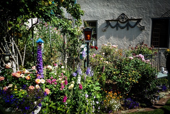 Conservatory at the Dunedin Botanic Garden via Instagram