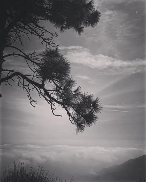 Mount Wilson View via Instagram [Photography]