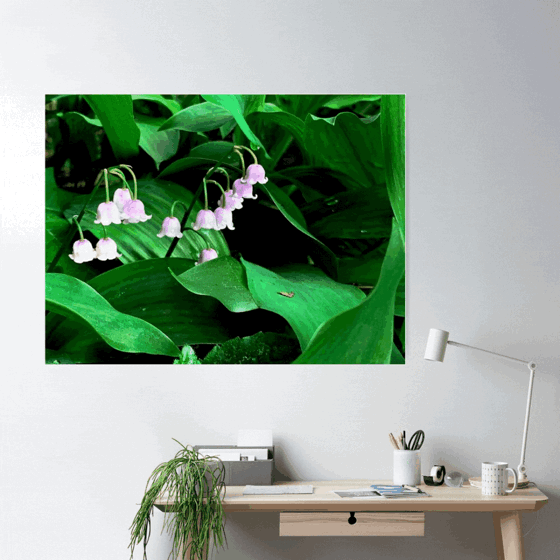 Lily-of-the-Valley Products by Douglas E. Welch Design and Photography [Shopping & Gifts]