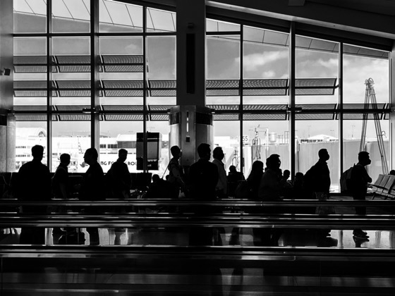 Silhouettes All in a row… Off to Vienna for the Screenwriting Research Network Conference via Instagram [Photography]