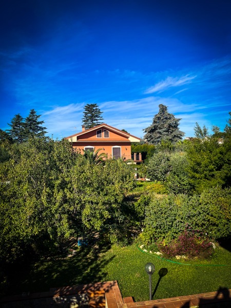 View of the garden, Mascalucia, Sicily via Instagram [Photography]