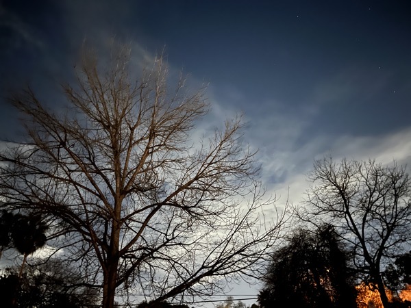 Night Sky, Sherman Oaks, California  [Photography]