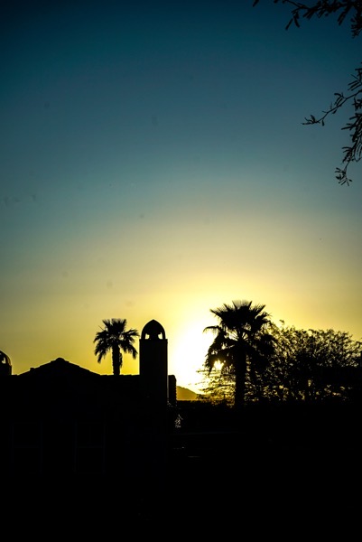 Sunset Silhouette, Indio, California  [Photography]
