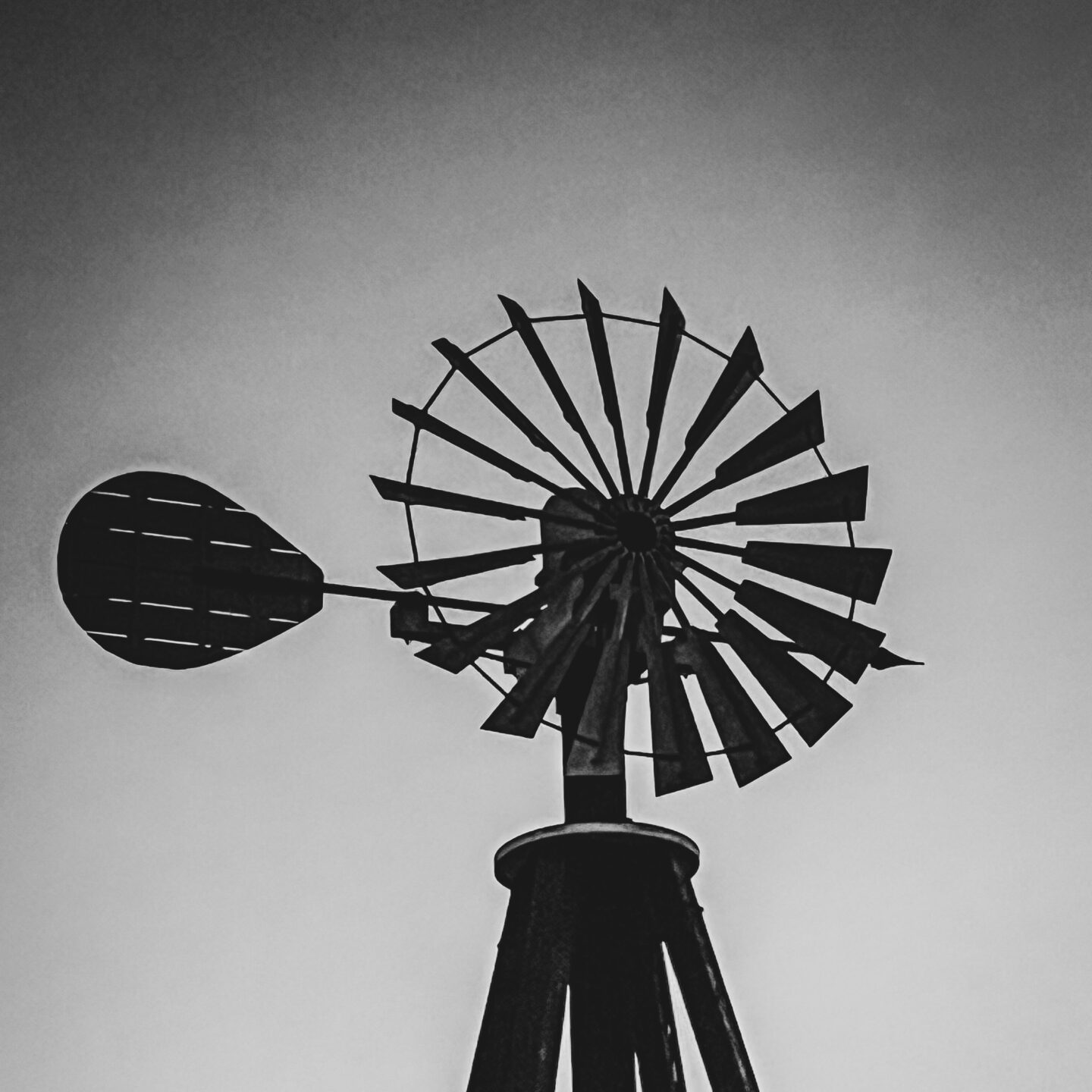 Windmill Silhouette, Old Town San Diego [Photography]