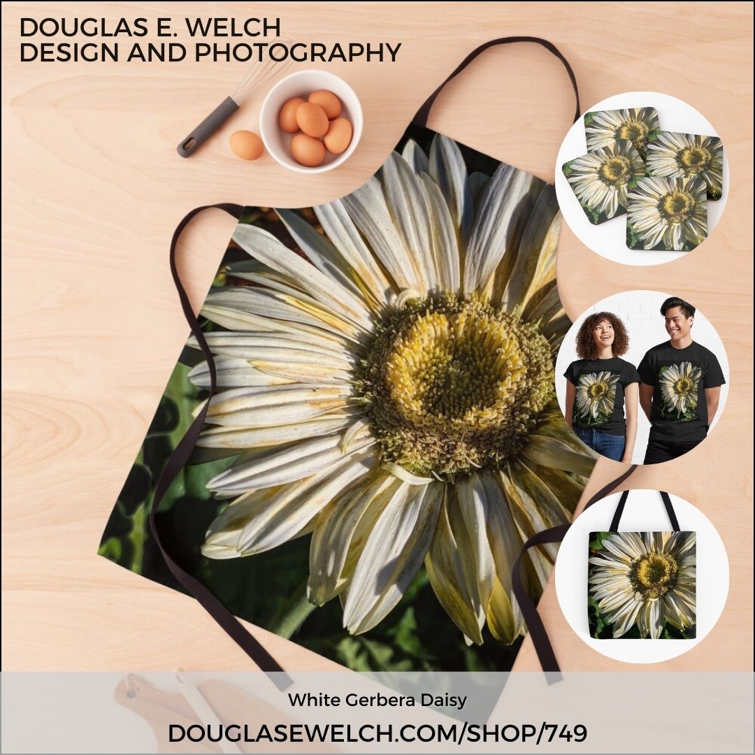 New Design: White Gerbera Daisy Products [For Sale]