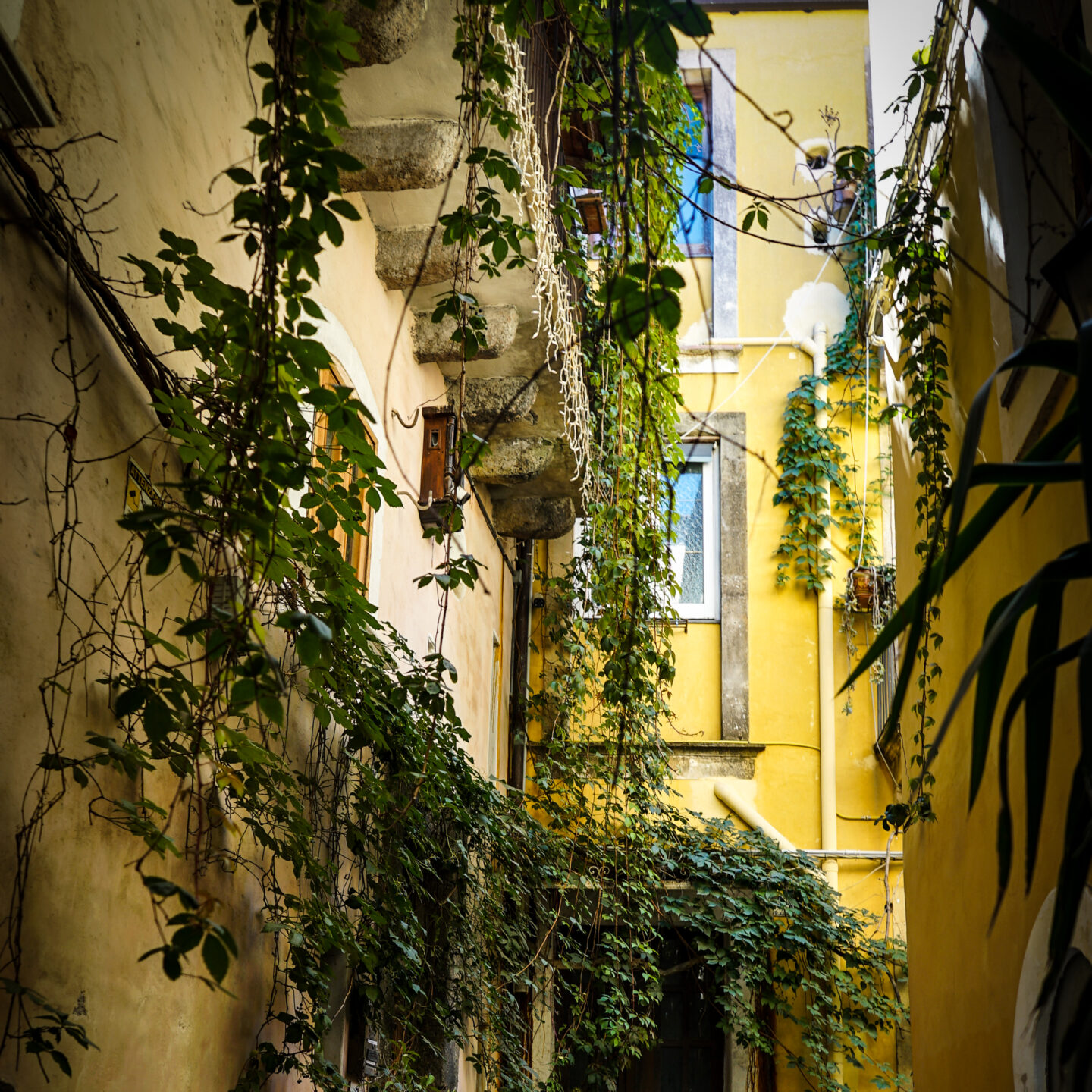 A Quiet Alley, Catania, Sicily, Italy [Photography]