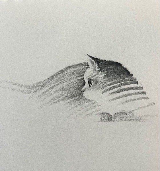 With Just A Few Lines, This Artist Creates Captivating Animal Portraits Full Of Emotion (25 Pics) via Bored Panda[Shared]
