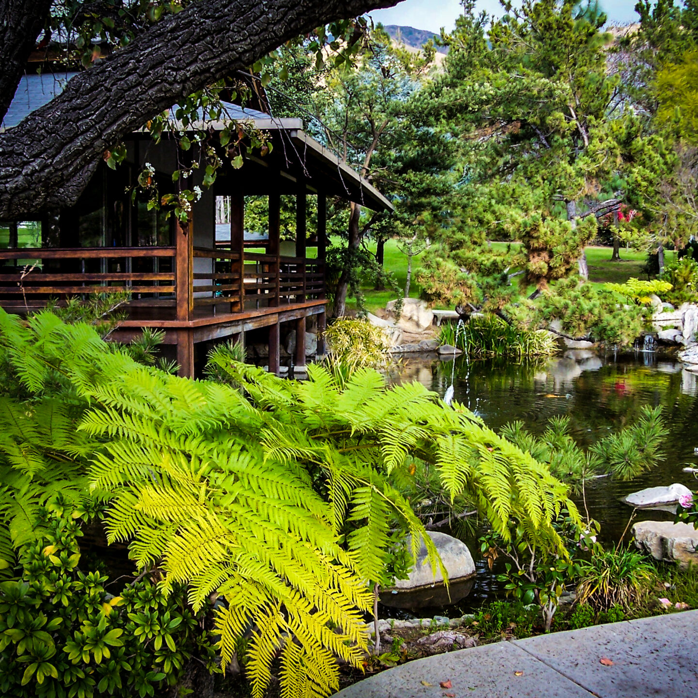 Whispering Pine Tea House & Garden, Glendale, California 2006 2 [Prints Available]